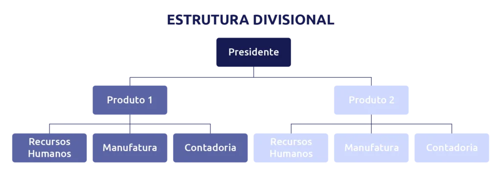 organograma de estrutura divisional