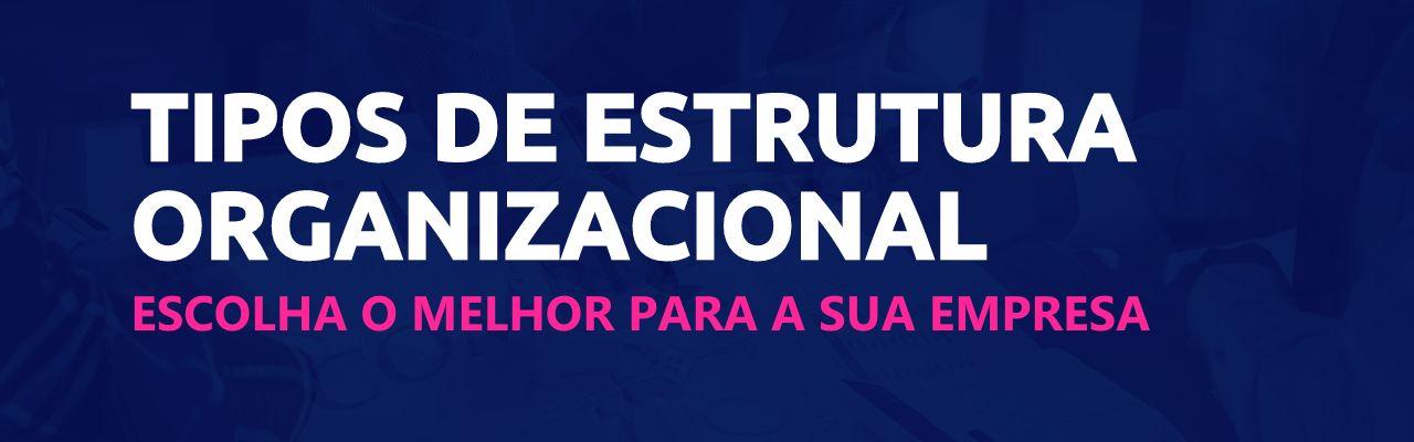 tipos de estrutura organizacional