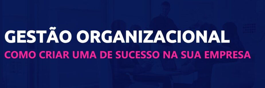 gestão organizacional scoreplan