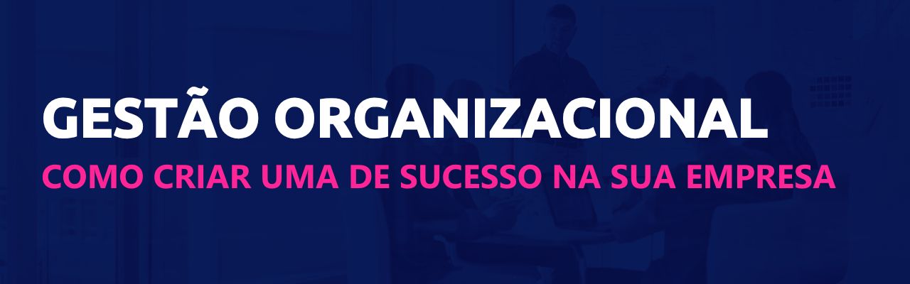 gestão organizacional scoreplan