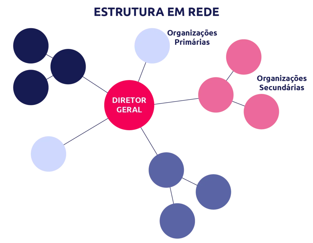 organograma de estrutura em rede