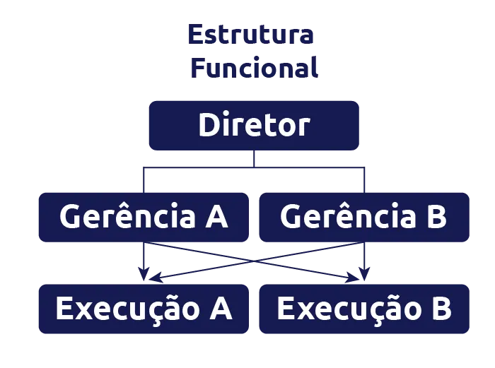 organograma de estrutura funcional