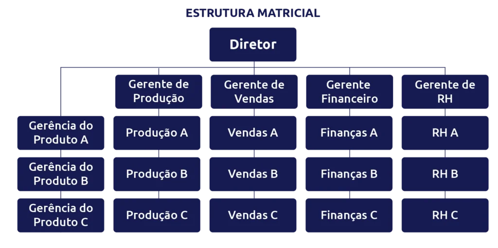 organograma de estrutura matricial